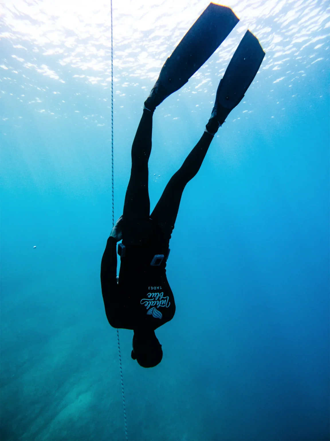 Diver