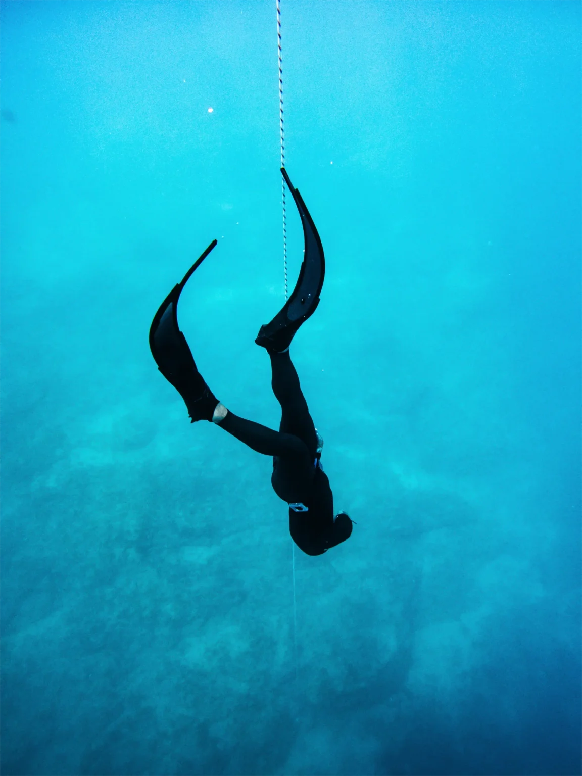 Diver