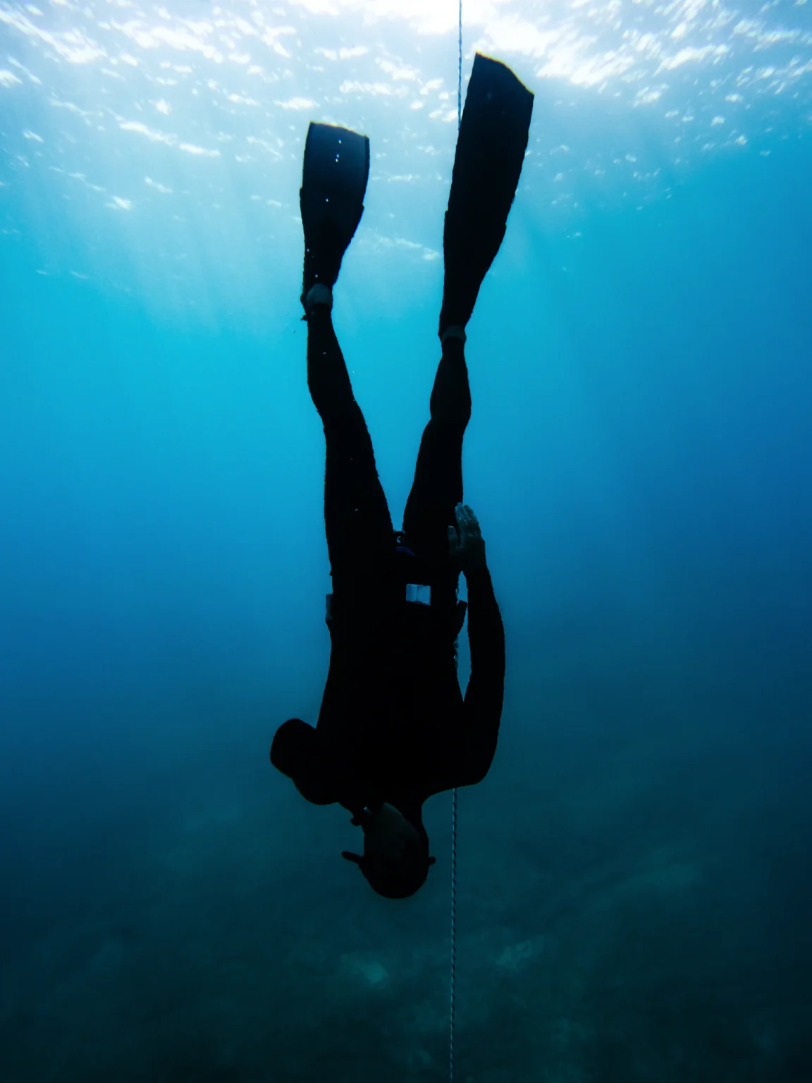 Diver